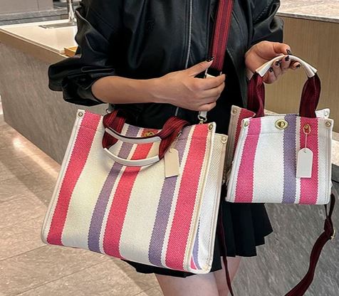 Strip Canvas Bag