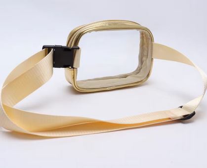 Transparent Sqaure Bumbag