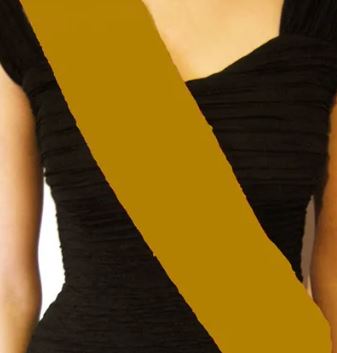 Blank Sash - Pack of 10