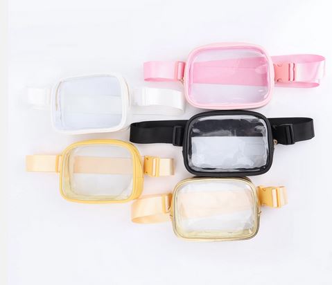 Transparent Sqaure Bumbag