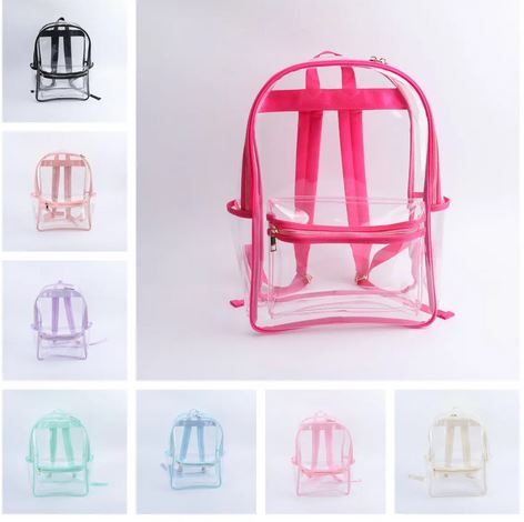 Transparent Backpack