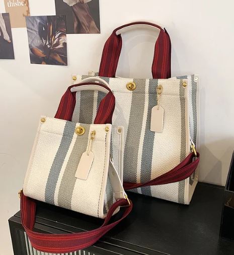 Strip Canvas Bag