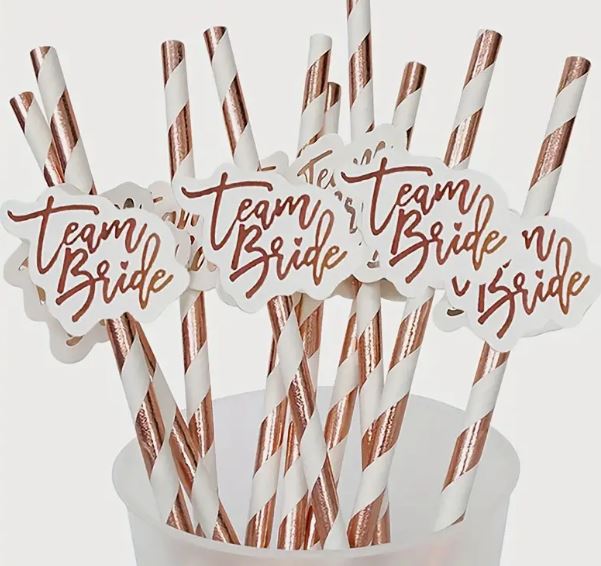 Hen Party Straws 10 Pack