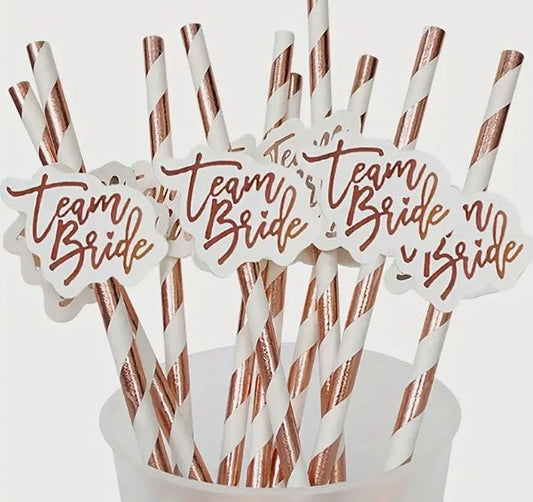 Hen Party Straws 10 Pack