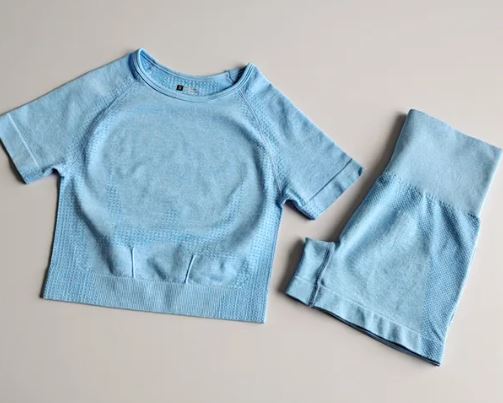 2 Piece Seamless set