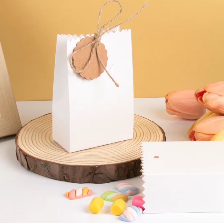Paper Gift Bag - Favour