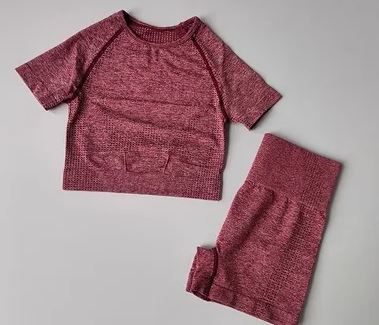 2 Piece Seamless set