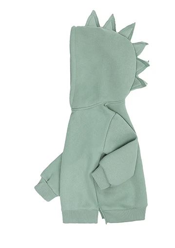 Dinosaur Hoodie