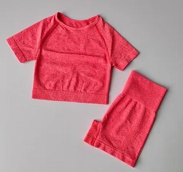 2 Piece Seamless set