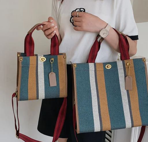 Strip Canvas Bag
