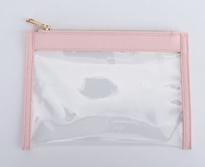 Transparent Clutch Bag