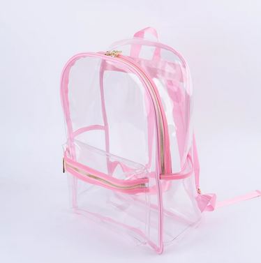 Transparent Backpack