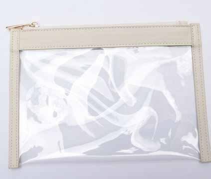Transparent Clutch Bag