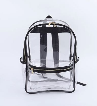 Transparent Backpack