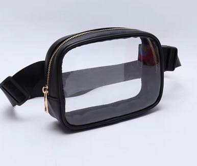 Transparent Sqaure Bumbag