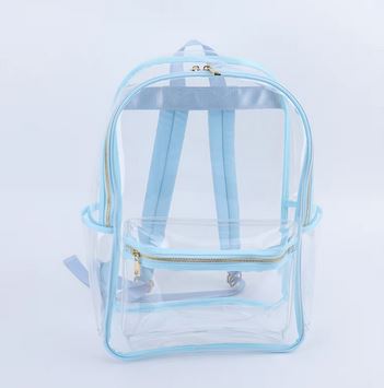 Transparent Backpack