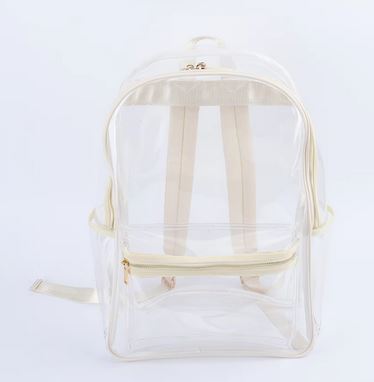 Transparent Backpack