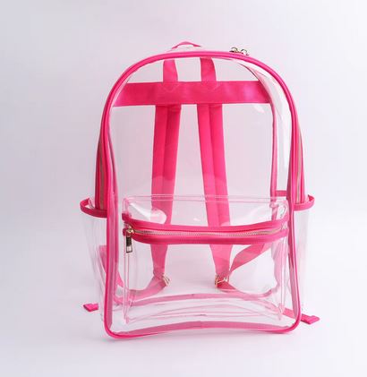 Transparent Backpack