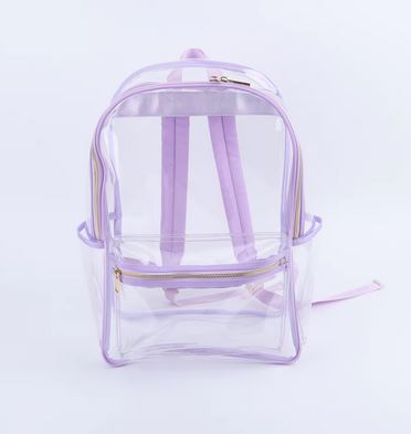 Transparent Backpack