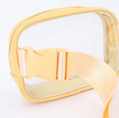 Transparent Sqaure Bumbag